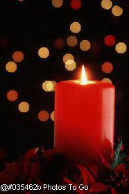 Candle surrounded by poinsettias